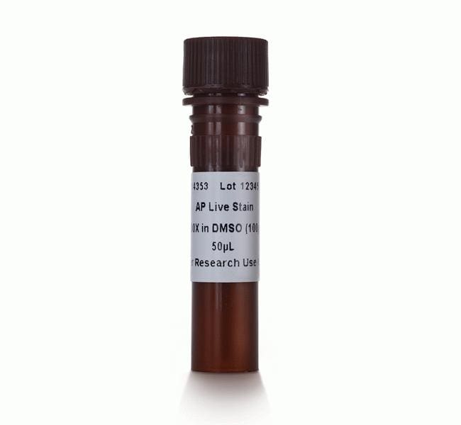 Alkaline Phosphatase Live Stain, 50 µl
